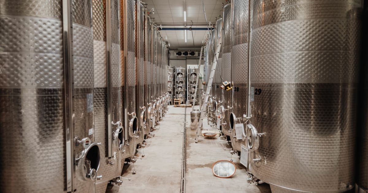 Catas de vino en Volkach: bodegas y experiencias