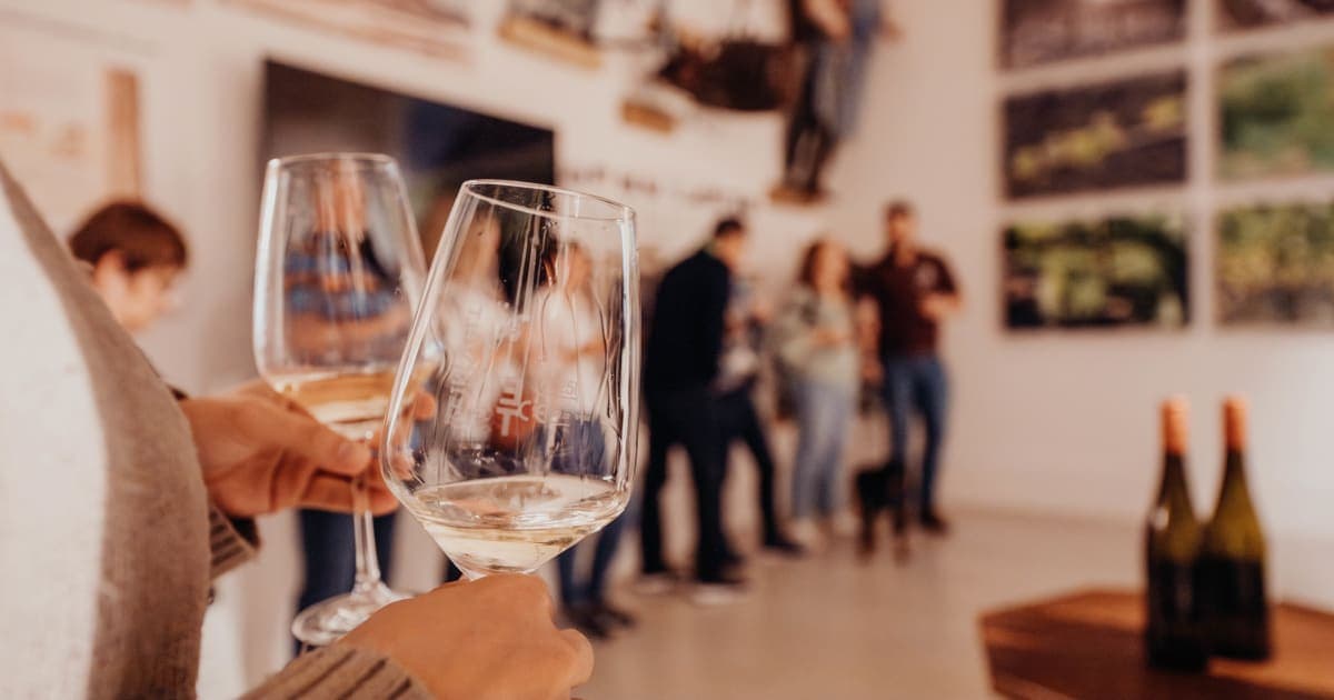 Silvaner aus Franken: Warum die Leitrebsorte so besonders ist